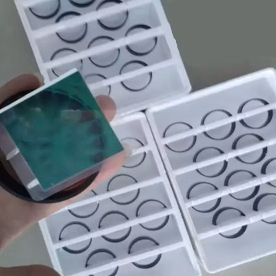 Bonded NdFeB Magnet Radial Magnetization Ring Magnet